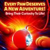 Durable Interactive Cat Toys for Indoor Cats, Rolling Ball Toy Compatible with Smart Automatic Chase Systems