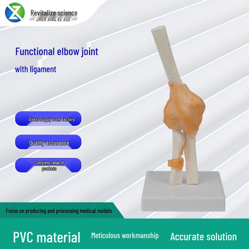 

Функциональная модель сустава человека для обучения и демонстрации Functional Joint
