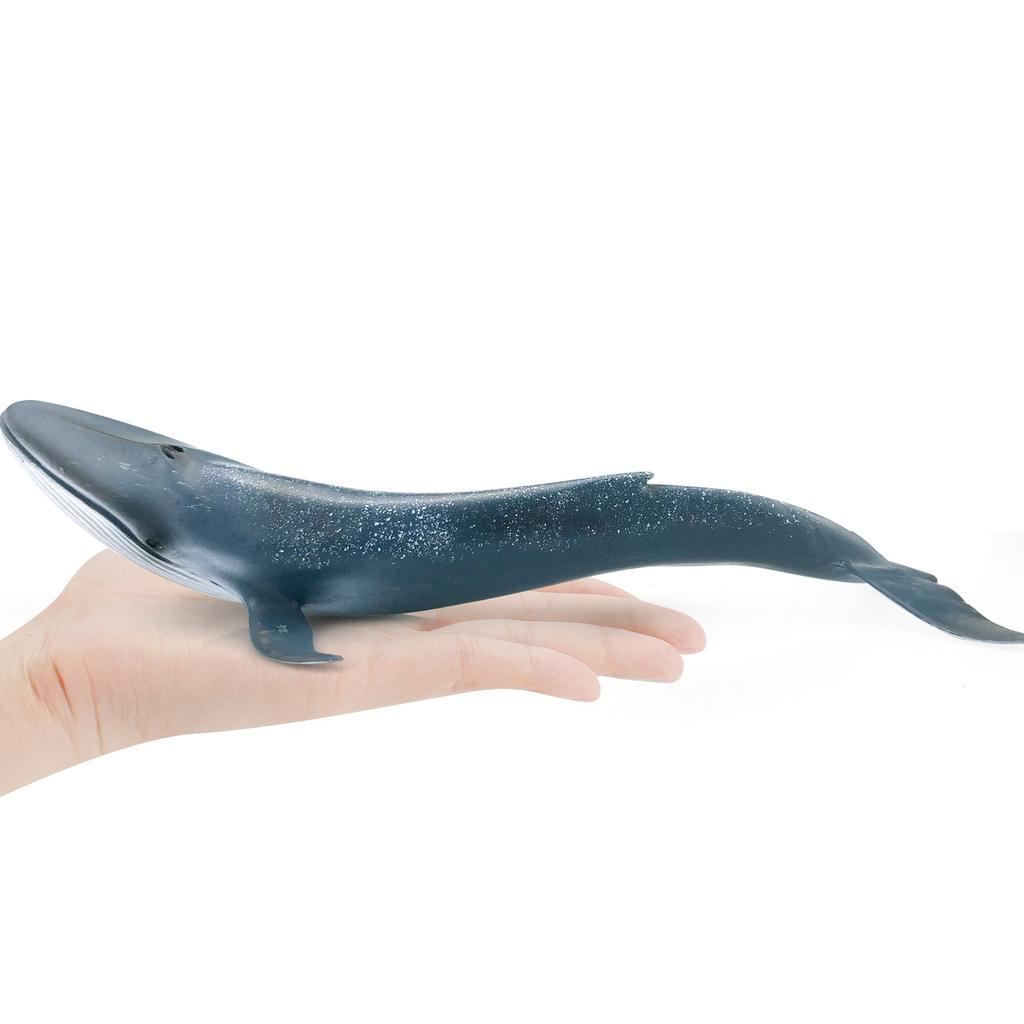 Solid Blue Whale Marine Life Model, Realistic Plastic Ocean Figure Wholesale Early Education