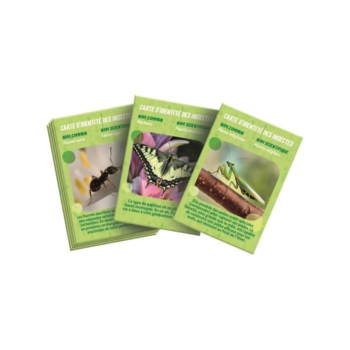 CLEMENTONI - La maison des insectes - Accessoires d'observation - Transportable - Dès 7 ans