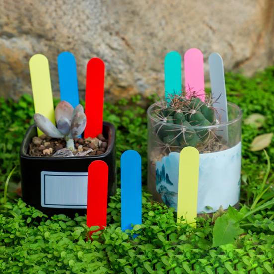 100 Stück/Beutel Gartenbau-Bodenschild, leicht zu beschriften, wasserfest, mit Loch, Kinderzimmer-Tablett, runder Kopf, Sukkulenten, Pflanzenetikett, Gartenbedarf