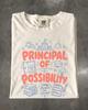 Principal of Possibility Shirt, School Principal Gift, Principal Appreciation Tee, Education Leader T-Shirt