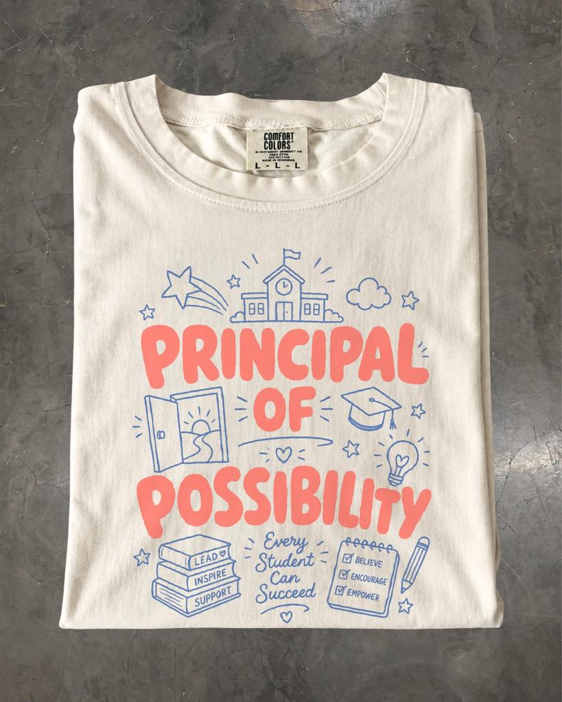 Principal of Possibility Shirt, School Principal Gift, Principal Appreciation Tee, Education Leader T-Shirt