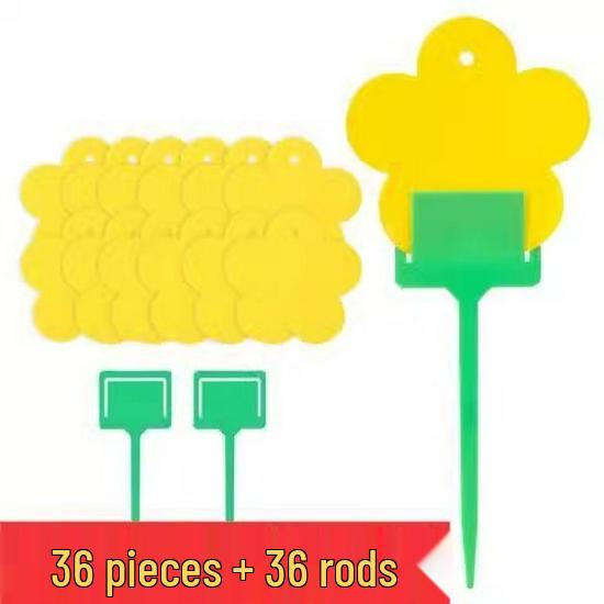 Gele en Blauwe Dubbelzijdige Kleefvallen voor Kleine Vliegjes - Binnen Zomergebruik