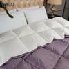 Yiyiai Lutuz Gold Label Color-blocked White Duck Down Quilt