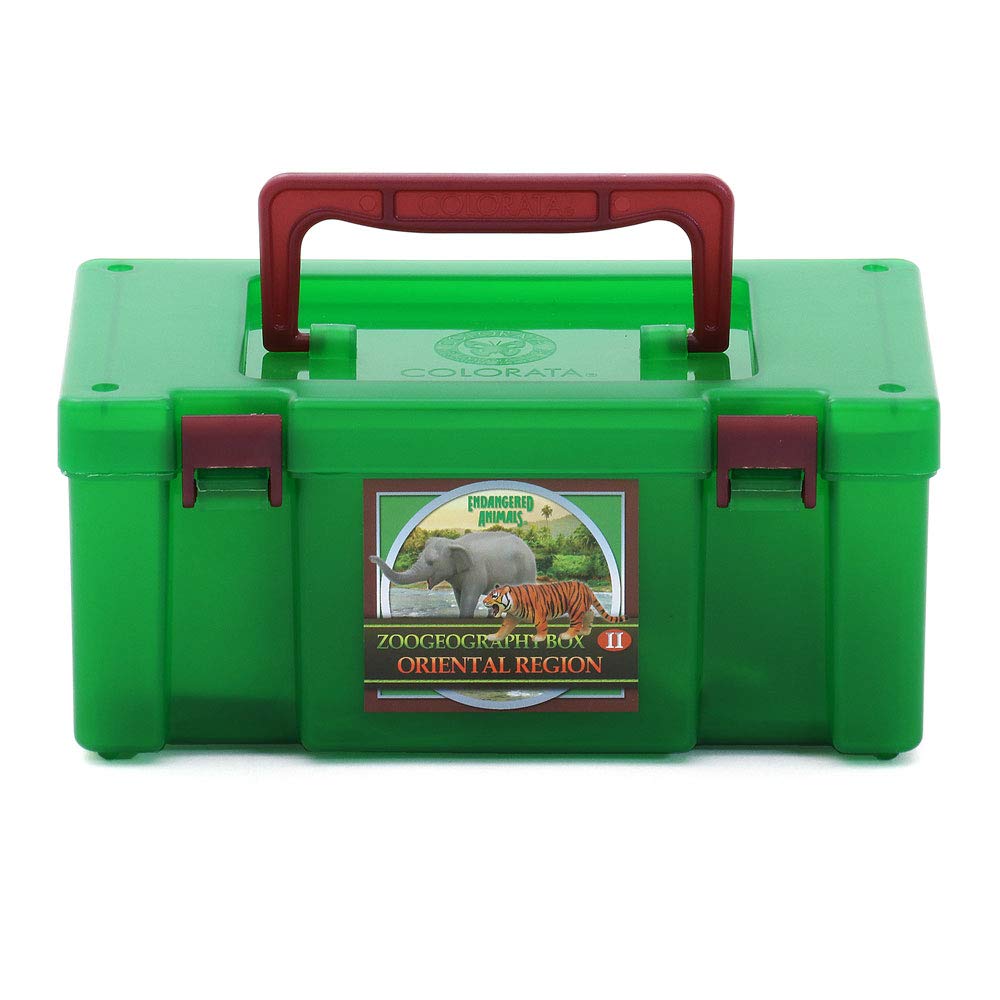 Colorata 3D Animal Encyclopedia Zoogeography Box Oriental Region Real Figure Set 12 Animals with Guide Book