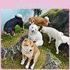 PVC Realistische Shiba Inu Welpenfigur Für Kognitives Spiel von Kindern Tierdekoration