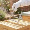 Durable Bee Frame Gripper Stainless Steel Beekeeping Frame Grip Bee Frame Holder  Beekeeping