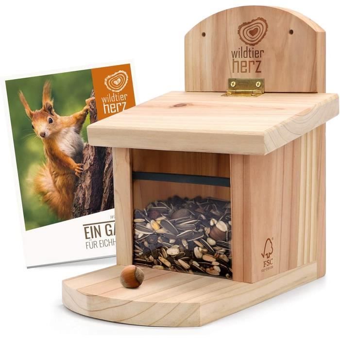 Mangeoire pour écureuils - Gorges - Bois massif - Résistante aux intempéries - Durable - Plexiglas