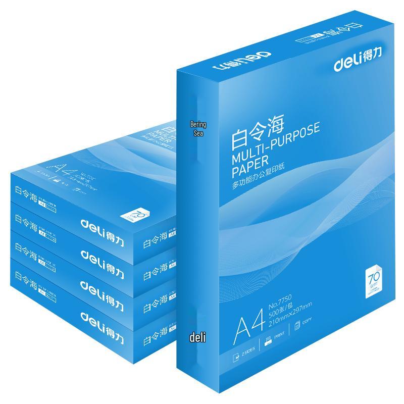 Deli Bering Sea A4 Printer Paper 5 packs/box, 2500 sheets