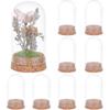 BENECREAT 10Pcs Dome Decorative Jars, 1.8x3.5inch Glass Display Dome Cloche Glass Bell Jar with Cork Base for Flower Storage, Specimens, Crafts