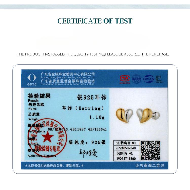 Metal Cold Wind 925 Silver Stud Earrings French Basic Niche Light Luxury Temperament Earrings Women