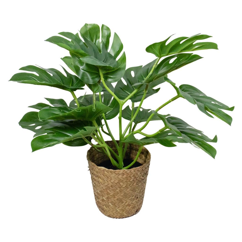 Simulation Plants Nordics Green Plants Turtle Back Leaves Living Room Decoration Simulation Potted Plants