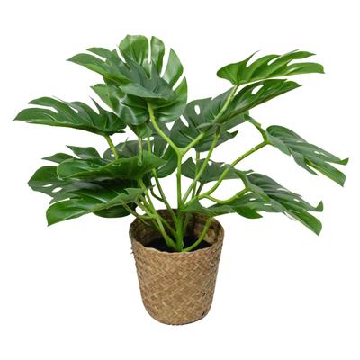 Simulatie Planten Scandinavisch Groene Planten Schildpadrug Bladeren Woonkamer Decoratie Simulatie Potplanten