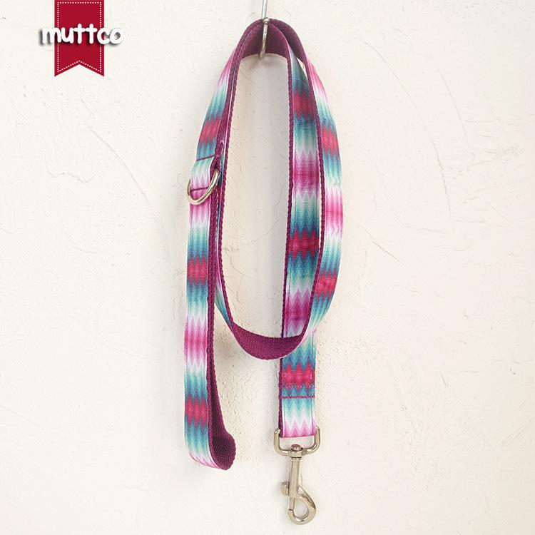 Colorful Patterned Fabric Dog Leash & Collar - New Style XS