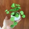 Soft Fake Ivy Leaf Leaves Handmade Mini Bouquet Artificial Copper Coin Grass Plants  Office