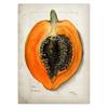 Classic Fruit Kitchen Antique Canvas Painting Retro Print Pear Apple Pineapple Wall Art Deco Picture,High Quality for Home Decor
