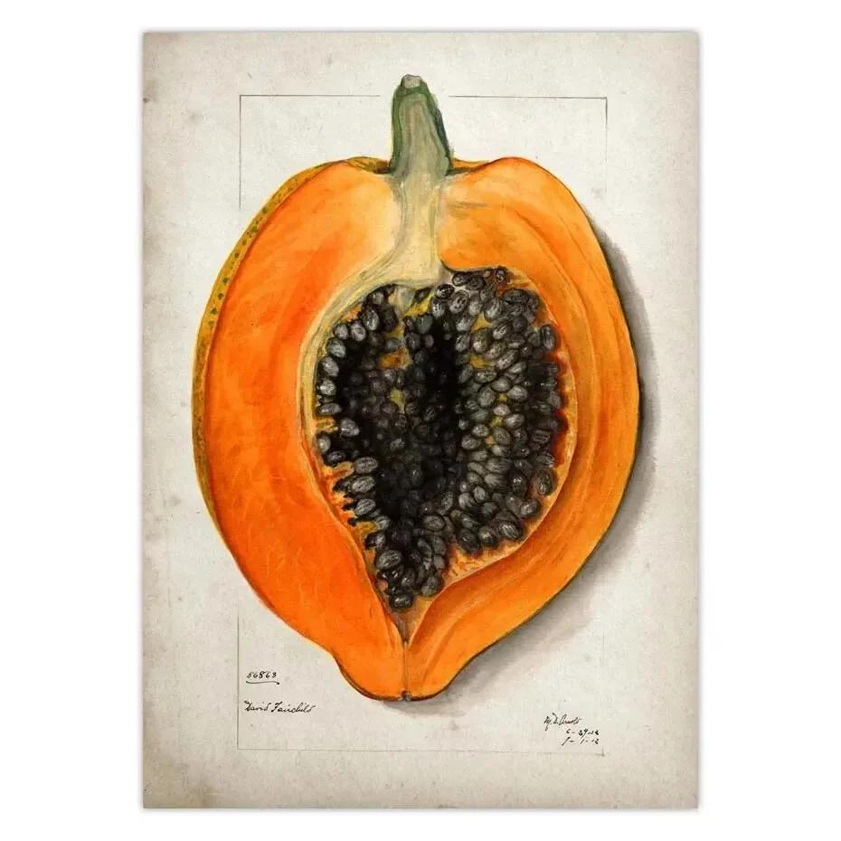 Classic Fruit Kitchen Antique Canvas Painting Retro Print Pear Apple Pineapple Wall Art Deco Picture,High Quality for Home Decor