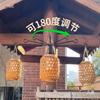 Rotatable Detachable Wall-Mounted Lantern and Basket Hooks: Garden Balcony Pot Hangers