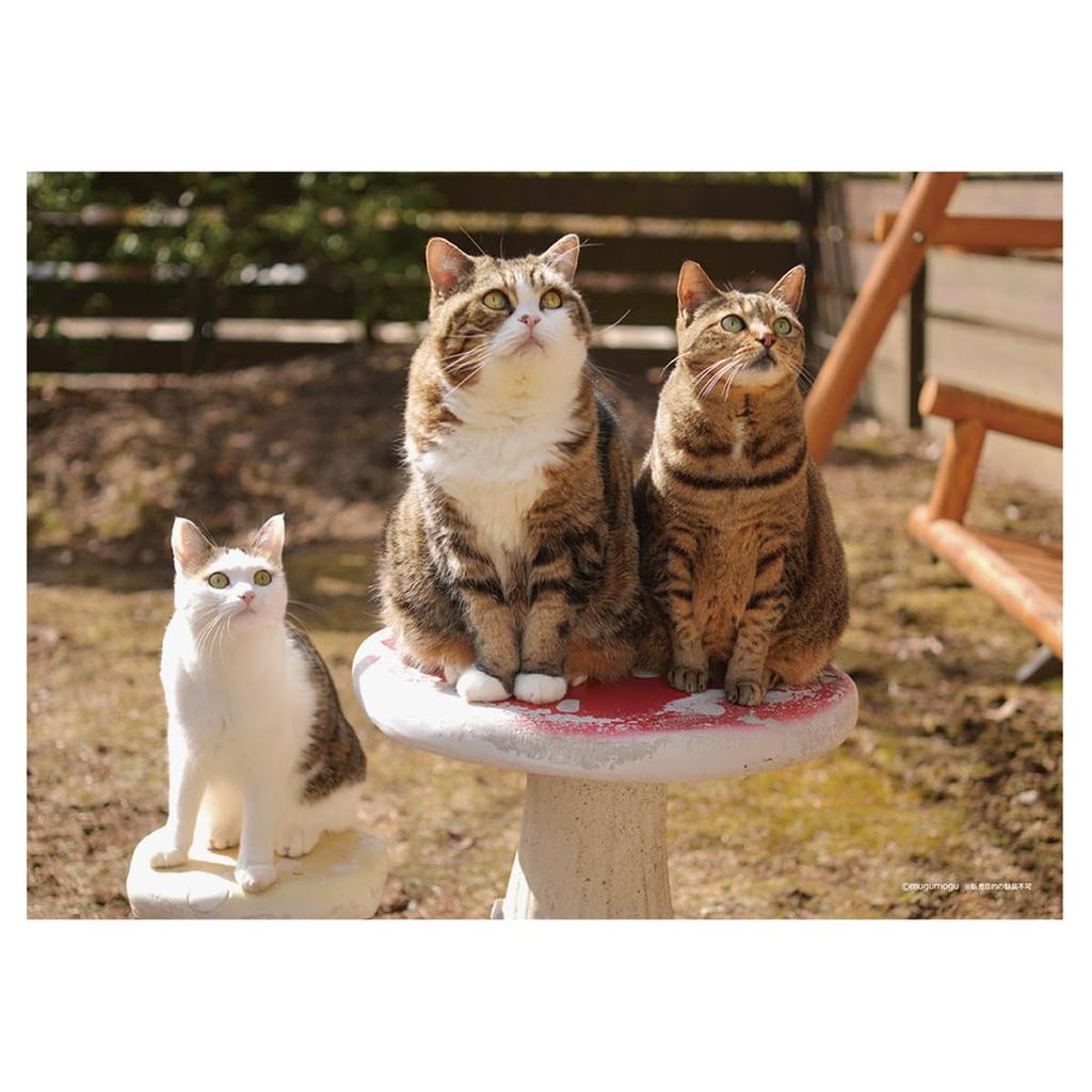 2025 Maruchan (Desktop) Calendar No.042