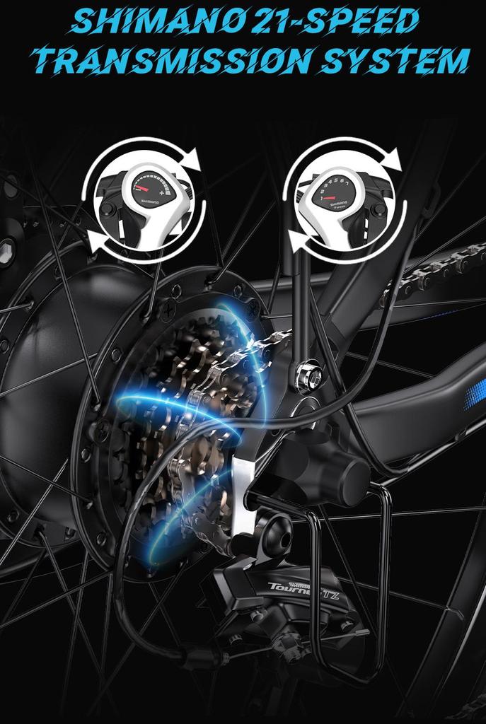 DUOTTS C29 Electric Bicycle, 48V 15AH Battery, 29-inch Tires, 21 Speeds, Maximum Range of 100 Kilometers. Black.