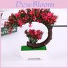 Decorațiuni pentru casă – Flori decorative şi coroane de flori