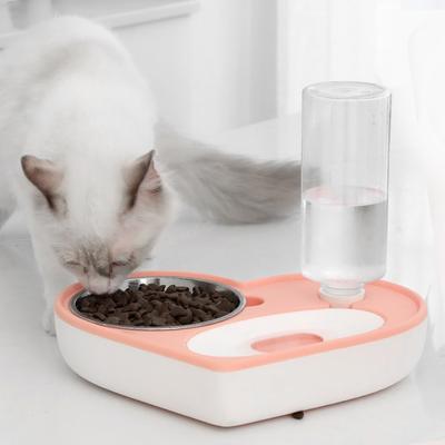 Perros – Proveedores de agua y alimento
