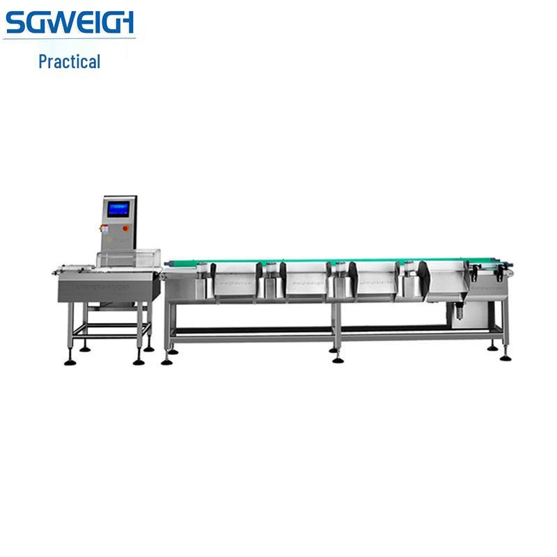

Belt Weight Sorter for Frozen Seafood - Small Yellow Croaker Multi-Level Sorting Machine Bagged 1-50g Version