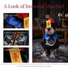 Chinese Style Pet Costume Cute Cat Halloween Dress Pet Supplies Halloween Dog Clothes  Halloween