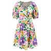 Summer New Style V-neck Printed Beach Skirt Lantern Sleeve Short Dress