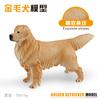 Simulation Animal Dog 6 Models Golden Retriever Teddy Shepherd Shiba Inu Corgi Pet Famous Dog Ornament Toy