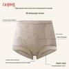 GUJIN Women's High-Waist Seamless Tummy Control Silk Briefs