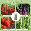 3Pcs Garden Bird Netting Cover 59x18in Nylon Mesh Protective Tomato Cage Netting Cover with Zipper Garden Accessories for Fruits