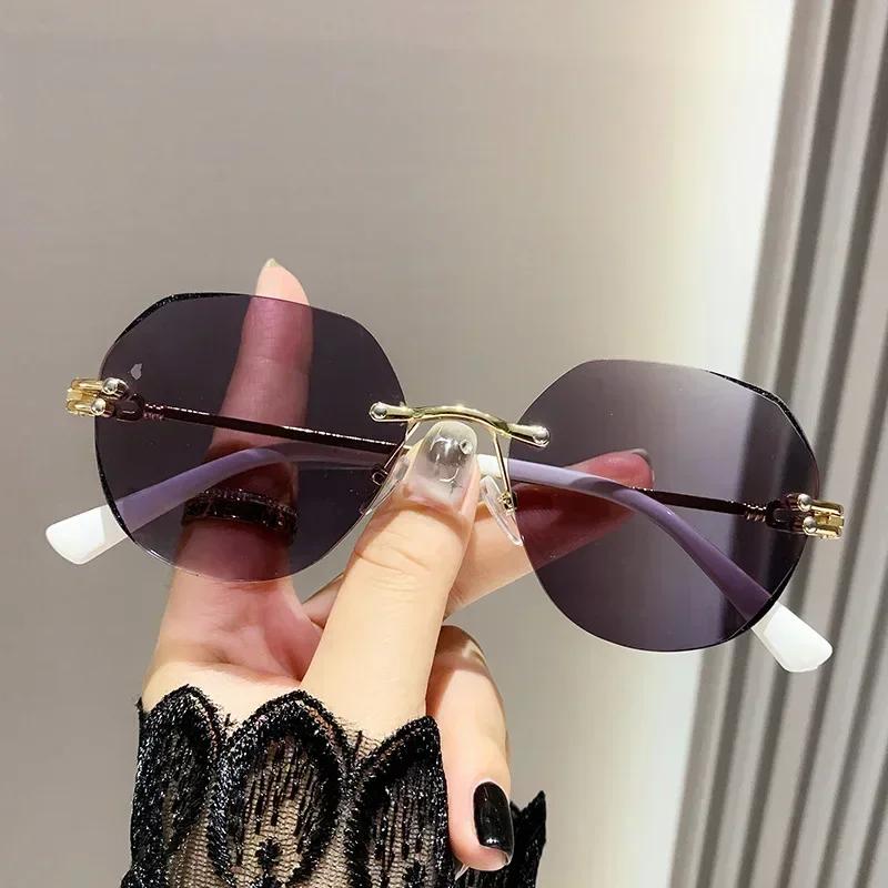 Luxury Intelligent Color Changing Presbyopia Glasses Round Oversized Far Sight Eyewear Photochromic Optical Sunglasses 0 To +4.0
