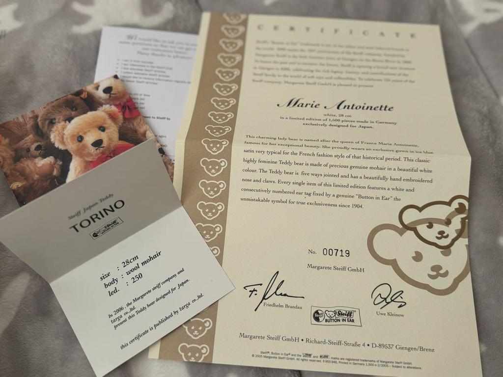 [USED] Excellent Condition Steiff Teddy Bear, Turin 2006, Limited To 250 In Japan