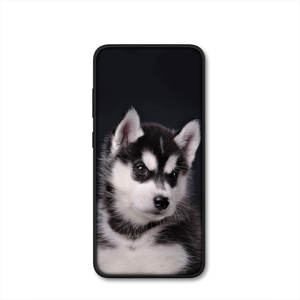 Bella Copertina per Telefono Divertente con Cane Husky per Samsung Galaxy S25 Pro S23 S22 S24 FE Ultra S10 Plus A05 A06 A15 A16 A26 A35 A36 Custodia