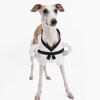Martial Arts Costume for Dog Breathable 2 Leg Clothes For Small Dog Easy Wear Pet Halloween Party Dressingup Outfit
