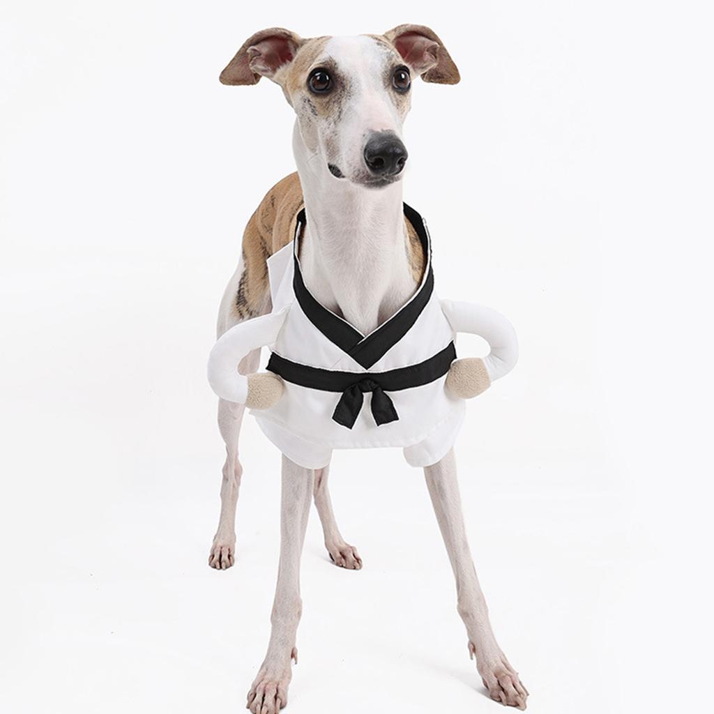 Martial Arts Costume for Dog Breathable 2 Leg Clothes For Small Dog Easy Wear Pet Halloween Party Dressingup Outfit