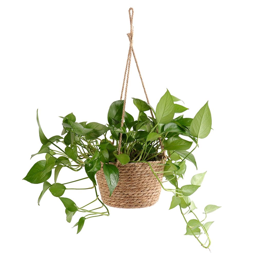 Woven Flower Basket Rustic Retro Style Brown Color Decorative Multi Purpose Straw Basket for Office