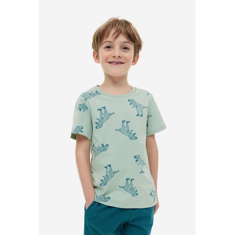 

Хлопковая футболка HM Светло-зеленый динозавр