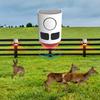 Solar Infrared Motion Sensor Alarm with Flashing Light To Deter Raccoon Deer Skunk Bear Coyote for Yard Farm Garden