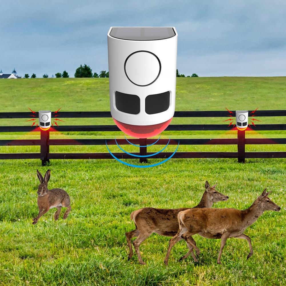 Solar Infrared Motion Sensor Alarm with Flashing Light To Deter Raccoon Deer Skunk Bear Coyote for Yard Farm Garden