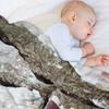 Pine Bark in Brittany Throw Blanket Hair Shaggy Decorative Beds Beautifuls Blankets