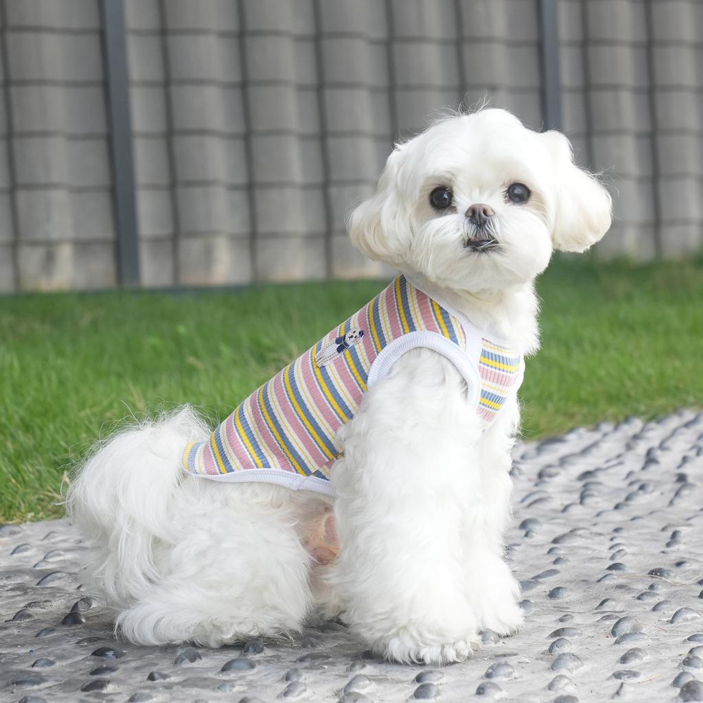 Pet Spring and Summer Elastic Stripe Embroidery Color Matching Outer Wear Vest Teddy Schnauzer Than Bear Puppy Dog Clothes