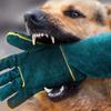 Dog Training Anti-Bite Gloves