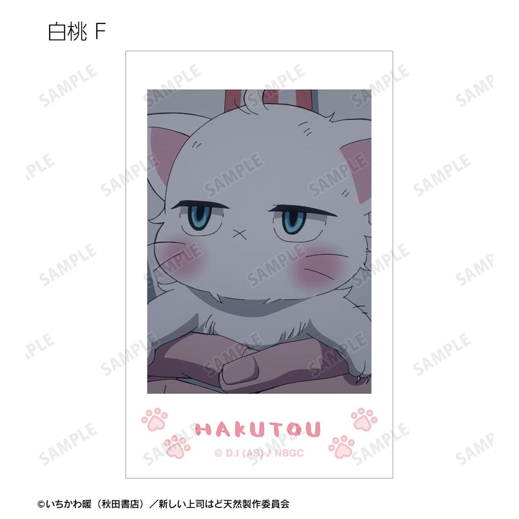 New Boss is a TV Anime Trading White Peach Instant Camera Style Illustrated Box of 20 "My Natural" Cards, Only, Stills,