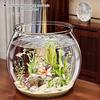 Transparent Aquariums Round Ornamental Fish Tank Clear Guppy Tank Goldfish Fish Bowl Home Desk Decor Aquarium Hydroponic Planter