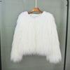 Women Faux Fur Coat Autumn Winter Fluffy Short Coat Faux Fur Jacket