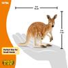 Schleich Wildlife Kangaroo Figure 14756