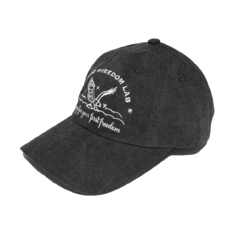 AEGO Freedom Lab Before Sunset Cap_charcoal Black